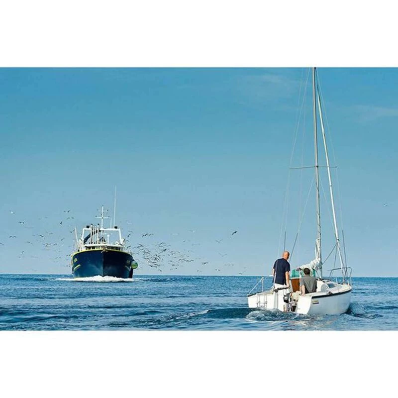 TORQEEDO Outboard Motors Cruise 4.0T Electric Outboard, Short Shaft, Tiller Steering - Image 4