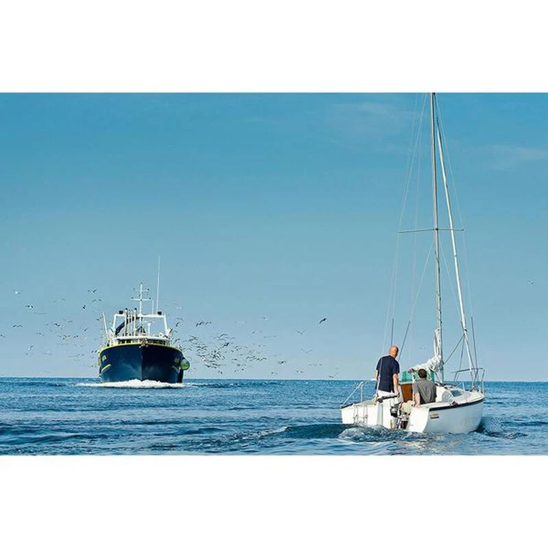 TORQEEDO Outboard Motors Cruise 4.0T Electric Outboard, Long Shaft, Tiller Steering - Image 4